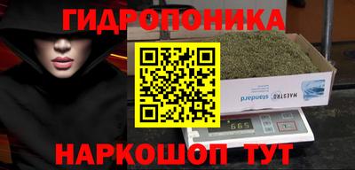 гашик Сланцы