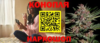 Альфа ПВП Славгород