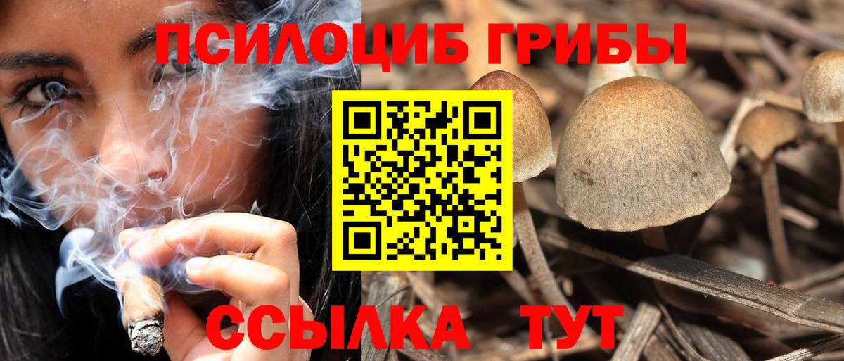 Псилоцибиновые грибы Magic Shrooms Мичуринск