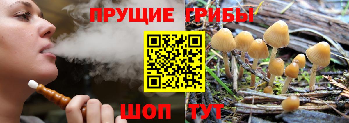 Мичуринск  купить  цена  Галлюциногенные грибы мицелий  Вход с VPN  Галлюциногенные грибы мицелий 